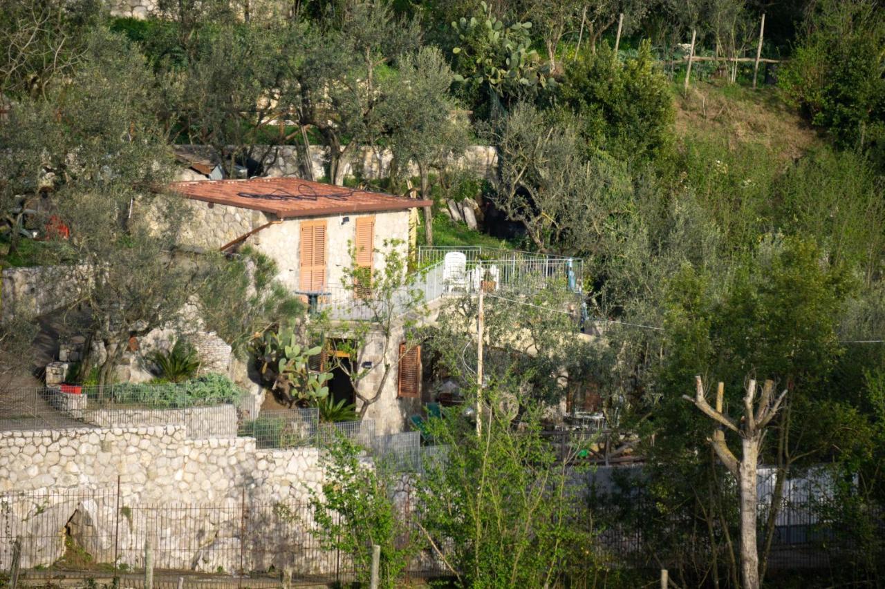 Cynara Holiday House Massa Lubrense Extérieur photo